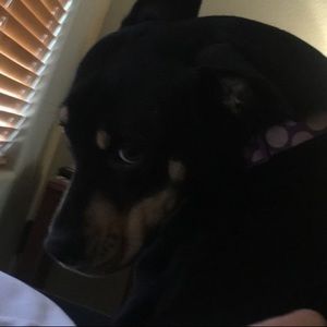 Meet your Posher, Cassidy